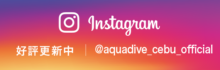 インスタグラム好評更新中