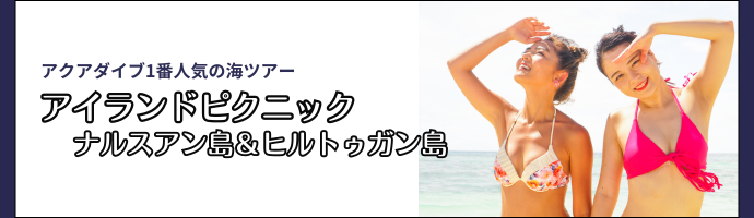 アイランドピクニック（2島）