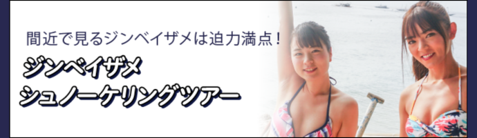 ジンベイザメシュノーケリングツアー