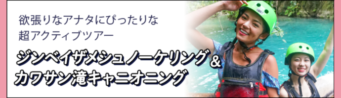 ジンベイザメシュノーケリング＆カワサン滝キャニオニング