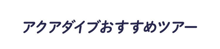 アクアダイブおすすめツアー