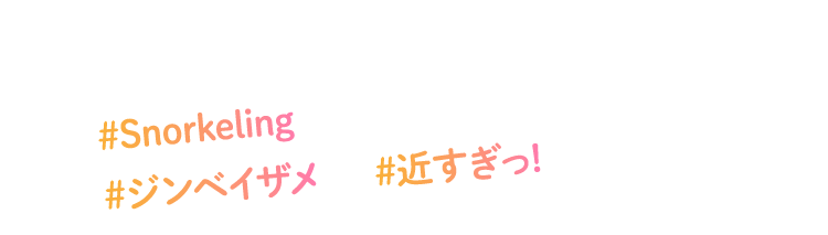#Snorkeling #ジンベイザメ #近すぎっ!