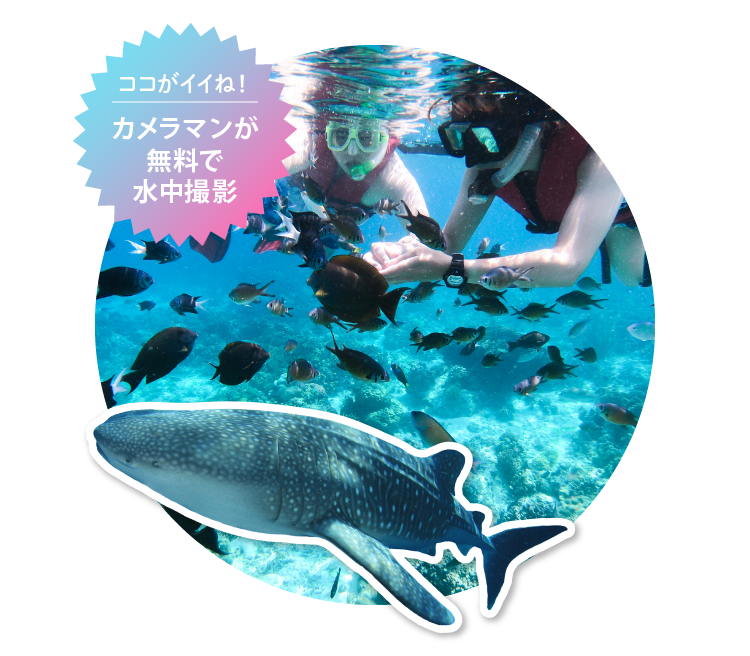 カメラマンが無料で水中撮影